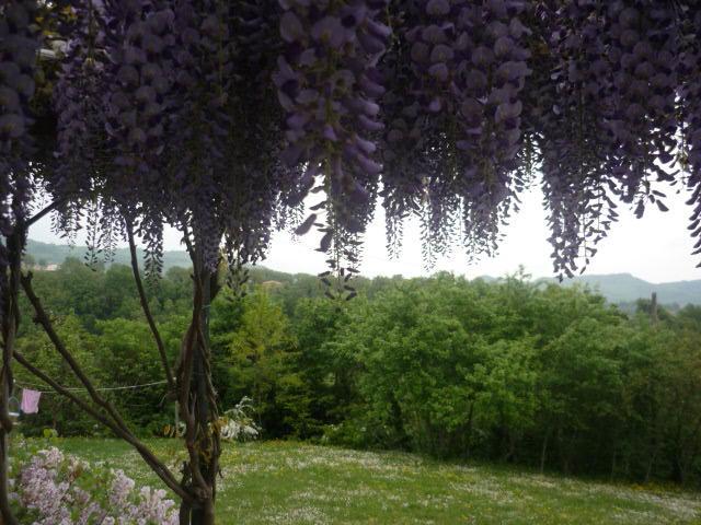 Country House "Locanda Le Querce" Affittacamere Frontino Esterno foto