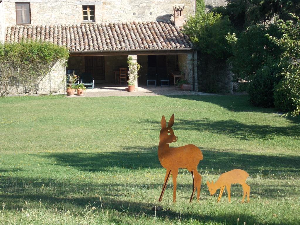 Country House "Locanda Le Querce" Affittacamere Frontino Esterno foto