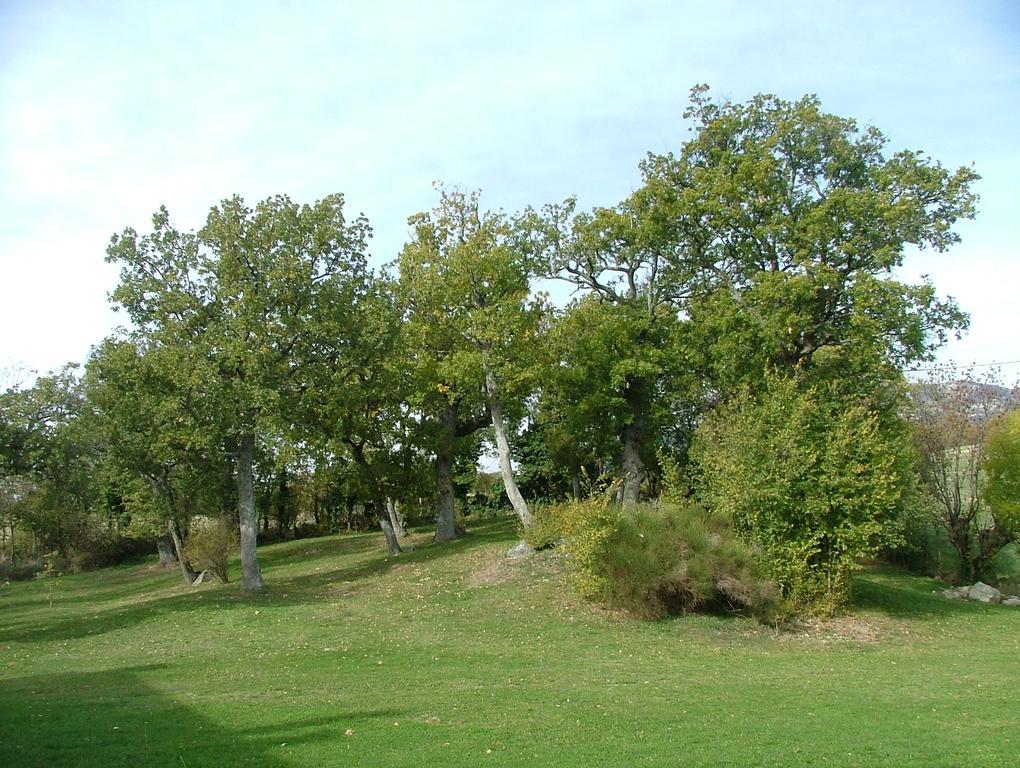 Country House "Locanda Le Querce" Affittacamere Frontino Esterno foto